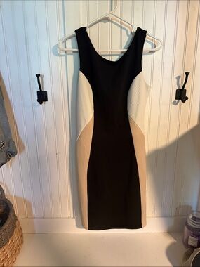 Francesca's Collections Black, White & Beige Colorblock Midi Dress